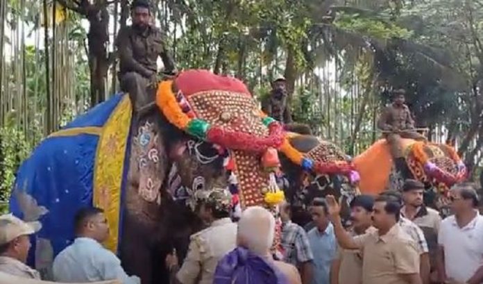 ಸಕ್ಕರೆಬೈಲು ಆನೆ ಶಿಬಿರ