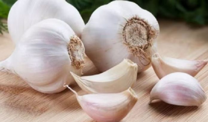 garlic