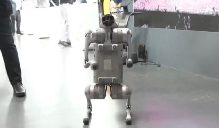robo dog