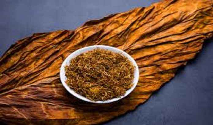 tobacco