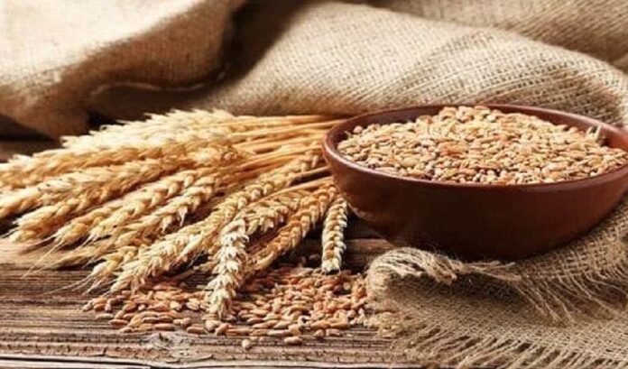 wheat