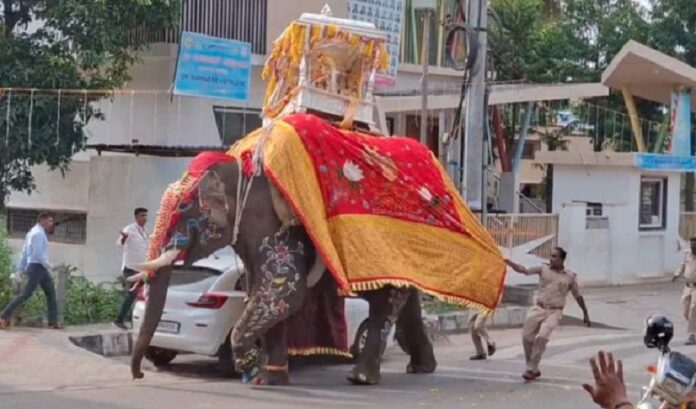 shivamogga dasara